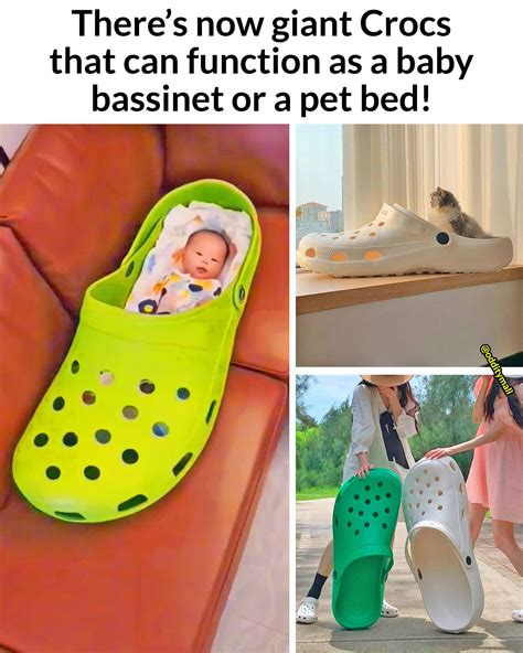 the great big croc bed|giant croc baby bed.